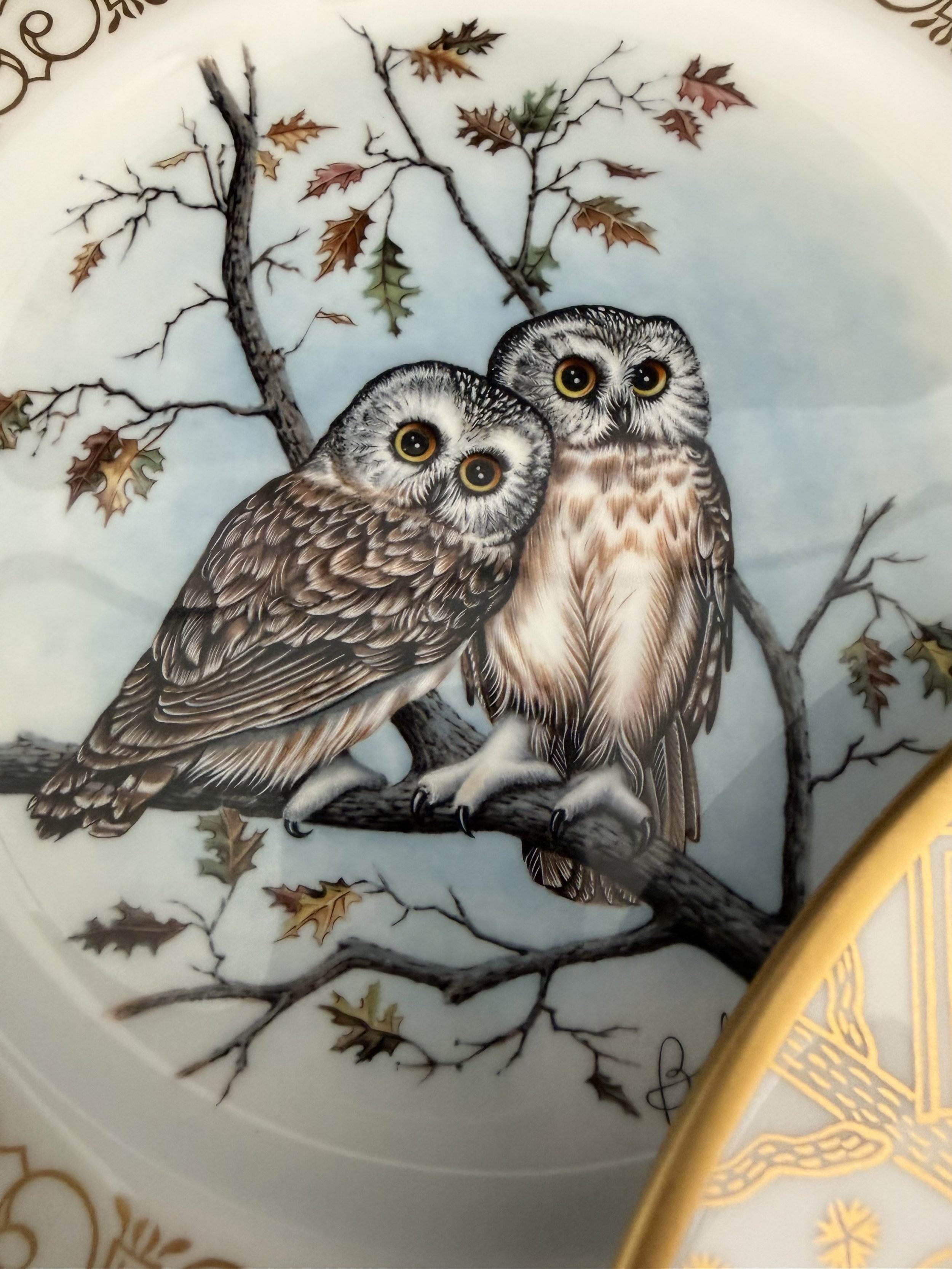 Elegant fine china sets | Lenox, Wedgwood, Spode and more — Fine